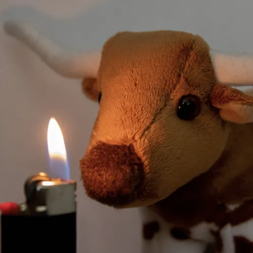 baby bevo plushie